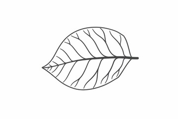 Serene illustration of a delicate leaf symbolizing nature's beauty