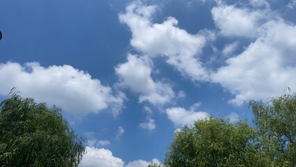 Obraz premium Tranquil Lake with Pavilion