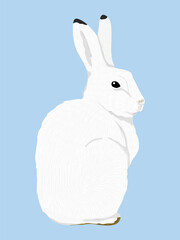 Arctic hares Lepus arcticus. Wild animal of the Arctic tundra. Realistic vector isolated rabbit