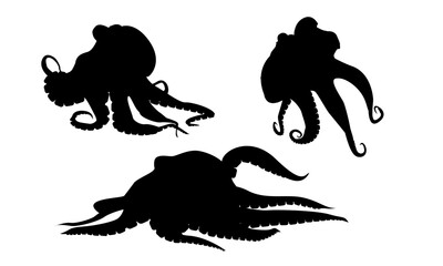 Set of silhouettes of octopuses. Realistic vector animals.
