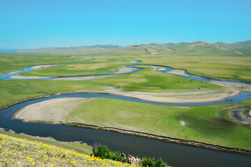 Fototapeta premium Meandering River in Vast Green Plains