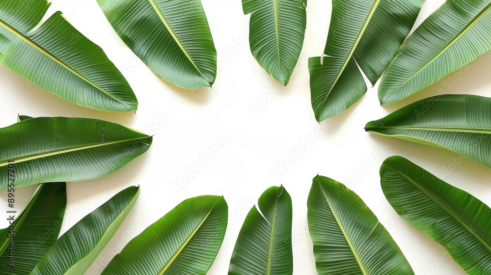 Sticker Fresh green banana leaves create a vibrant frame, perfect for plantthemed designs and backgrounds. Isolated for your needs.