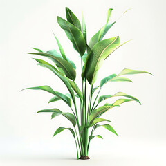 Fototapeta premium Green Plant Branch with White Background