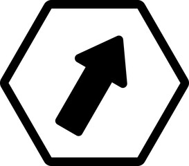 arrow hexagon icon version 2 inverse