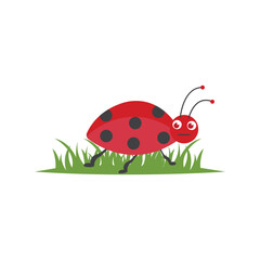 Ladybug logo on the grass.