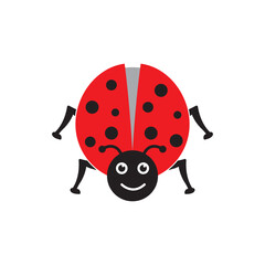 Fototapeta premium Ladybug. Insect ladybug