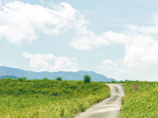 草原と歩道がある田舎の風景　夏