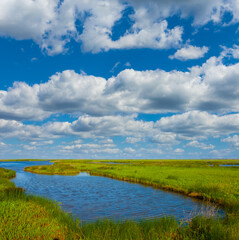 lake among green fields under a blue cloudy sky