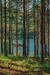 Fototapeta premium Forest Bench Next to Lake