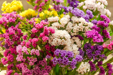 Obraz premium Bouquet of colorful summer flowers