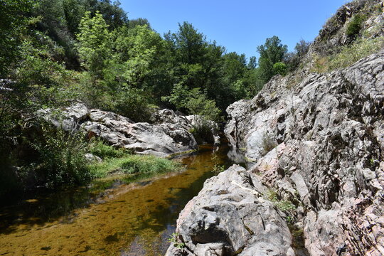Riera major en Viladrau