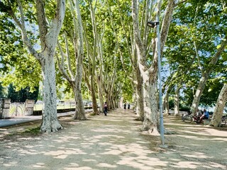 Path around the lake of Banyoles.