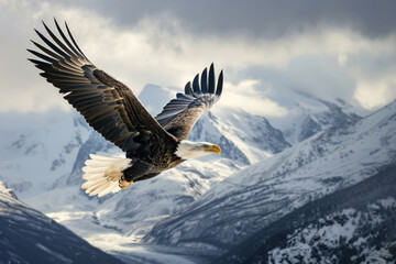 a bald eagle flying over snowy mountains