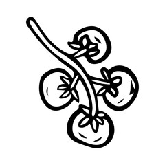 Cherry tomatoes on branch hand drawn in doodle style. Ripe fruit vegetable for ketchup. Vegetarian healthy food. Natural economy. Farm product. Vector line art illustration.