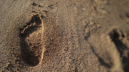 Footprints in the sand at sunrise