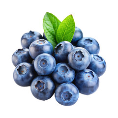 blueberries on a white background