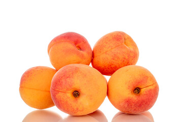 Several ripe apricots, macro, isolated on white background.