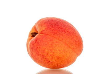 One ripe apricot, macro, isolated on white background.