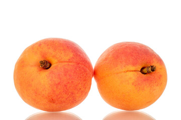 Two ripe apricots, macro, isolated on white background.