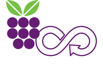 Fruit Berry Raspberry Blueberry Food Circular Economy