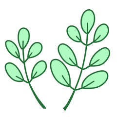 Green leaves illustration