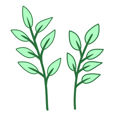 Green leaves illustration