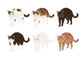 やんのかステップの猫のイラスト