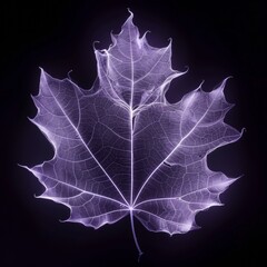 Fototapeta premium Futuristic X-Ray of Sycamore Tree in Neon Purple - High-Tech Digital Art Showing Internal Leaf Veins and Bark Texture