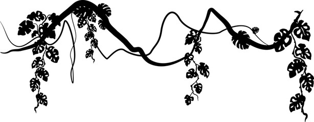 Liana with monstera leaves. Vector decoration element. Divider silhouette.