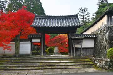 一休さんが暮らした京田辺市の酬恩庵一休寺