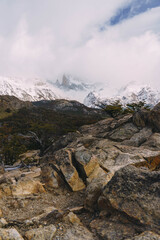 A mountain range covered in snow and trees. The sky is cloudy and the mountains are in the background