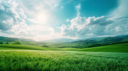 Beautiful Panorama of Rolling Green Fields. Spring or Summertime Background with White Fluffy Clouds and Natural Landscape. 