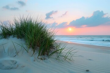Serene Beach Sunrise with Grass Dunes and Gentle Waves - Nature, Tranquility, Summer Vacation, Coastal Scenery