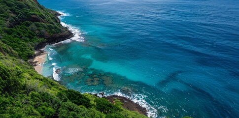 Fototapeta premium Ocean angles highlighting coastal shrubs reveal the interplay between the sea and the rugged coastline.