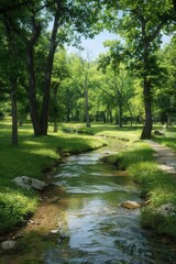 A forest spring scene with fresh water sources captures the essence of rejuvenation and vitality in a natural woodland setting. 