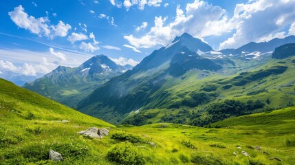 Obraz premium Mountain summer scenery with rugged rocks depicts a dramatic and invigorating landscape where the summer sun illuminates the rough, textured rock formations of a majestic mountain range.