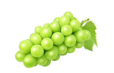 シャインマスカットのイラスト リアル