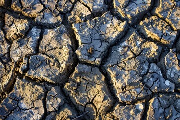 Captivating View of Cracked Earth Under Harsh Sunlight - A Stark Reminder of Climate Change Generative ai