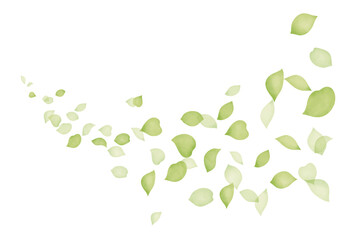 水彩風　緑の花びらが舞う