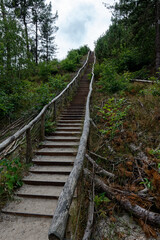 Dünenaufgang Schoorl Dünen