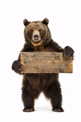 Fototapeta premium bear with wooden sign