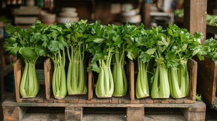 Vibrant celery stalks with green leaves showcased on rustic wooden table at farmers market