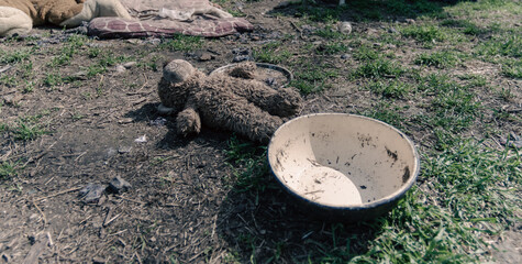 destroyed school in a city lost in the war in Ukraine