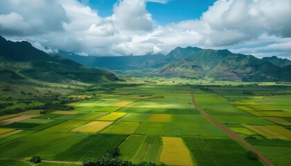Fototapeta premium A highway overlook providing a panoramic view of a sprawling agricultural landscape