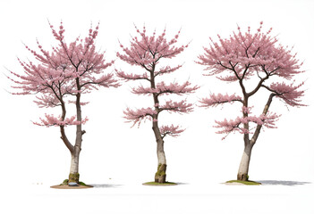 Obraz premium A large cherry blossom tree with vibrant pink flowers cascading down, set in a traditional Japanese garden with a stone lantern and koi pond.