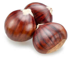 Raw chestnuts isolated on white background. Portuguese traditional snack autumn street food.