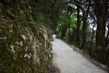 Santuario dell'Eremo delle Carceri, umbria