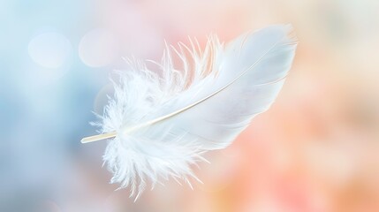 Obraz premium A delicate white feather floating in mid-air, with a soft, blurred background of pastel colors, symbolizing peace and tranquility.