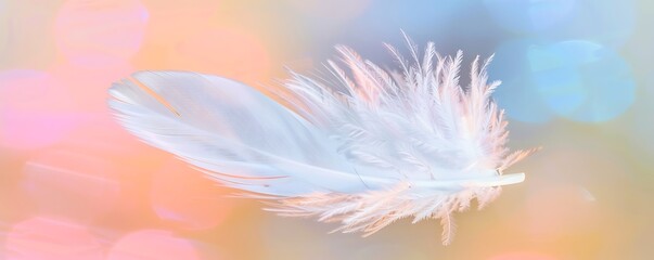 Obraz premium A delicate white feather floating in mid-air, with a soft, blurred background of pastel colors, symbolizing peace and tranquility.