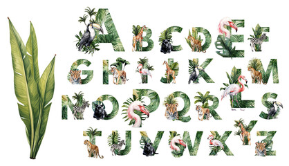 Watercolor illustration featuring the alphabet with tropical leaves and jungle animals.